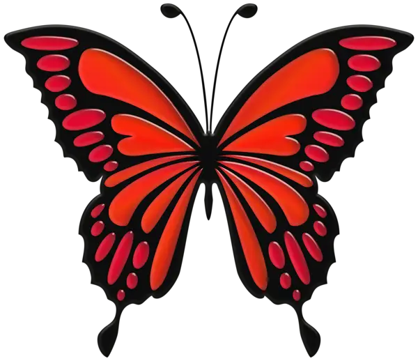 Red and Black Butterfly Illustration