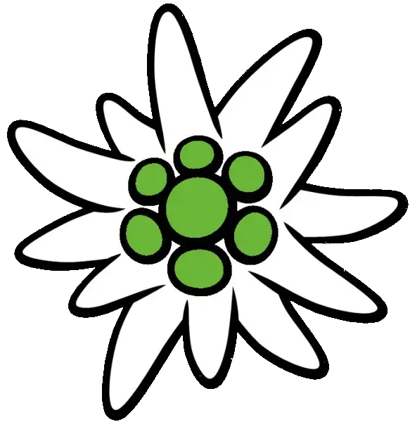 Floral Design with Green Center