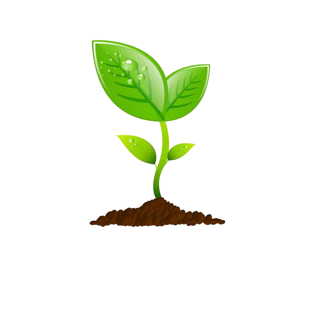 Green Sprout with Soil