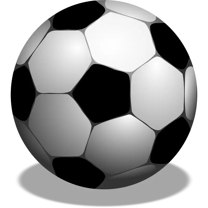 Black and White Soccer Ball Illustration