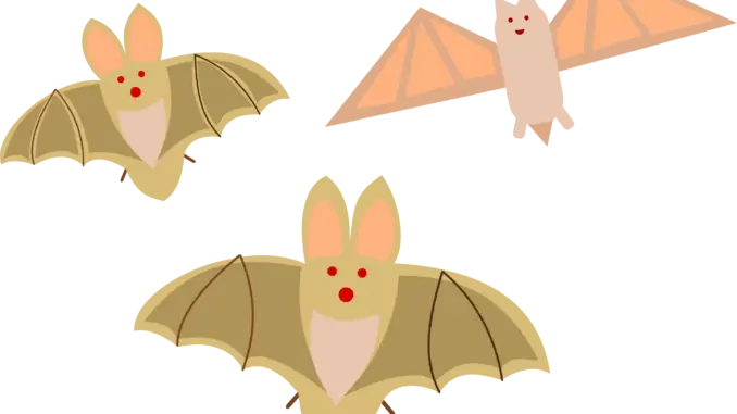 Cute Cartoon Bats with Spread Wings