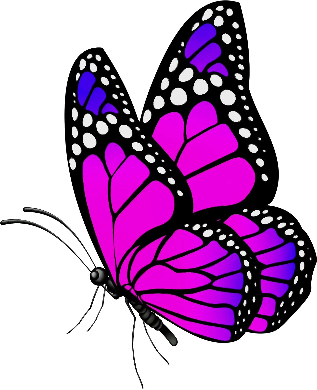 Purple Butterfly with Polka Dot Wings