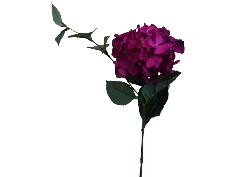 Elegant Purple Hydrangea Flower Stem