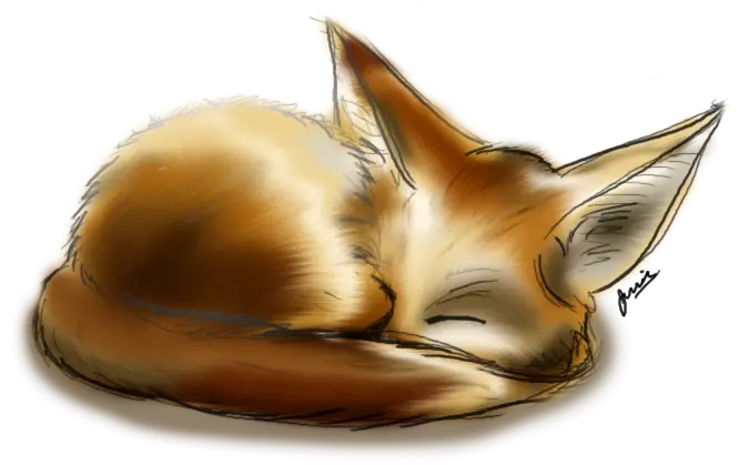 Cute Sleeping Fox Doodle