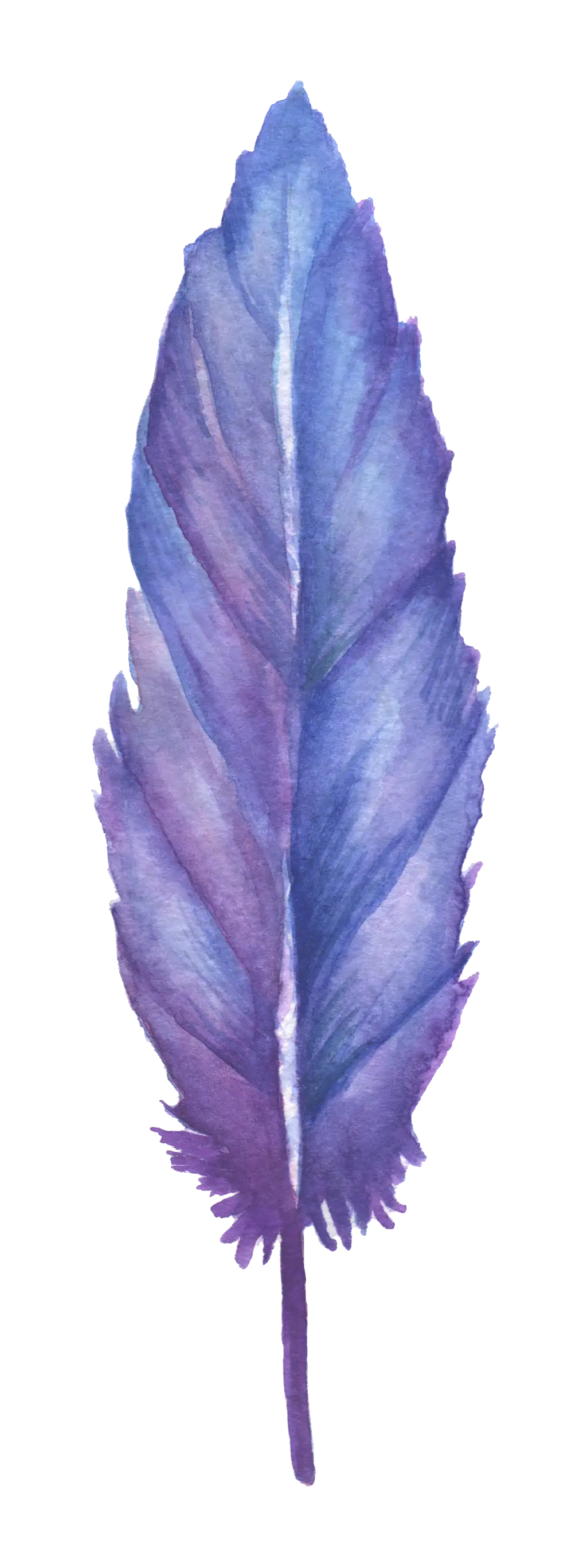 Delicate Purple Feather Watercolor Art