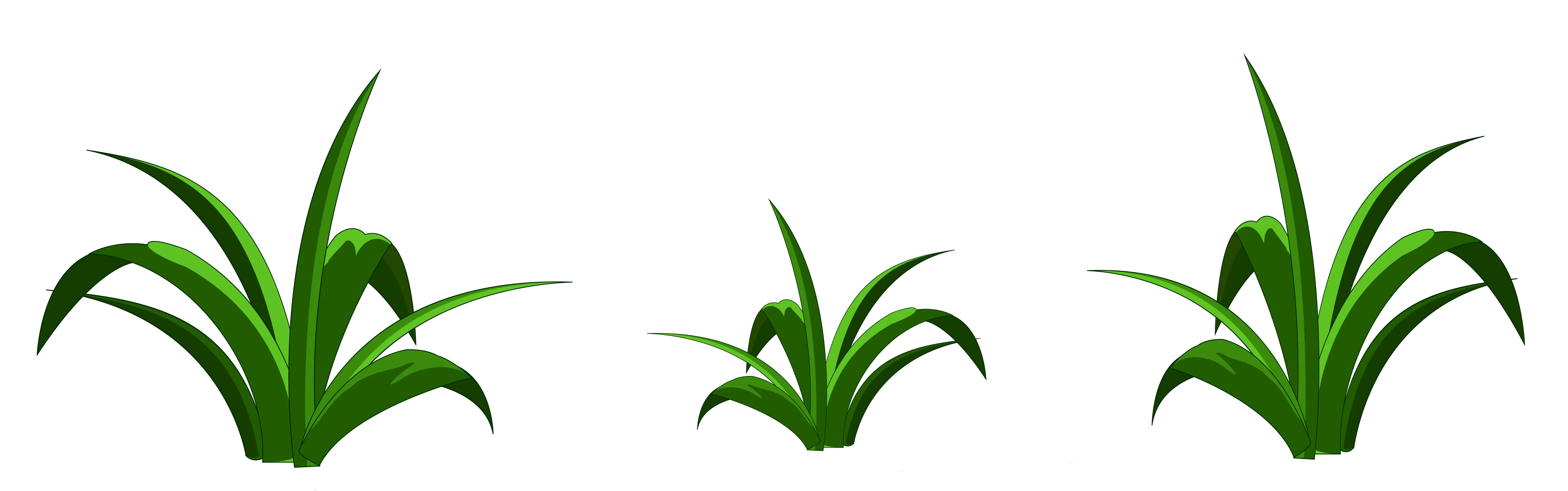 Green Grass Illustration