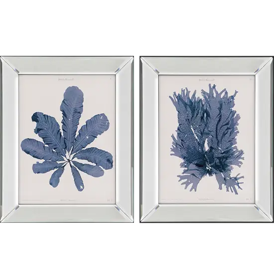 Framed Seaweed Art