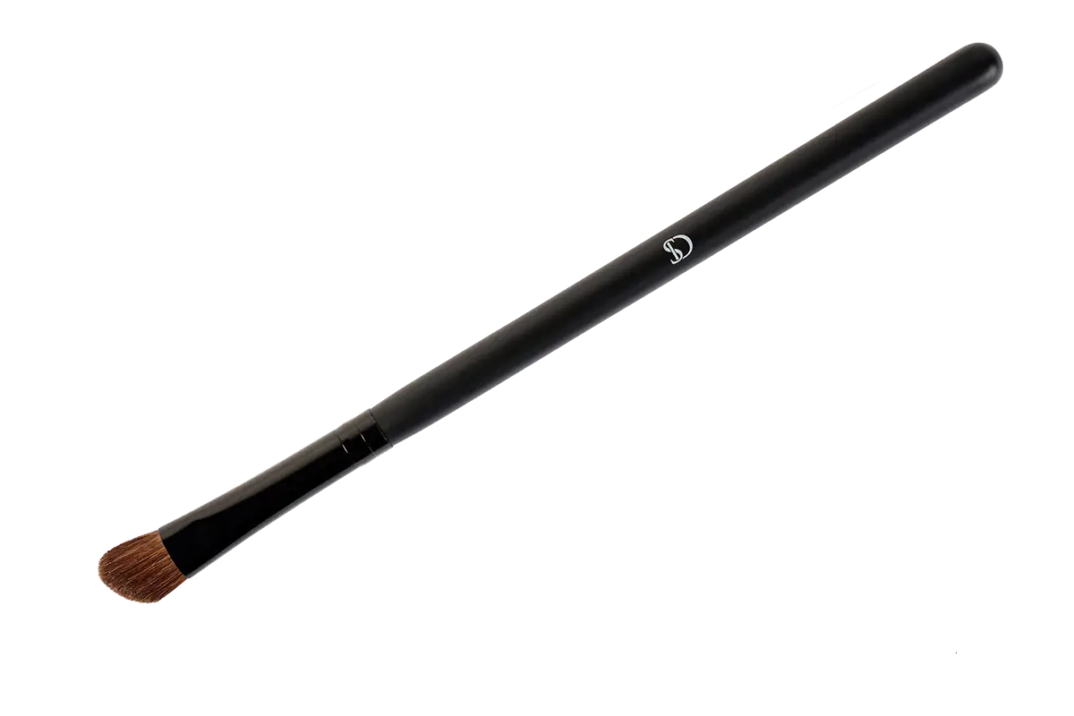Black Makeup Brush for Beauty Application