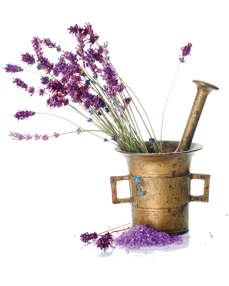 Lavender in Antique Mortar