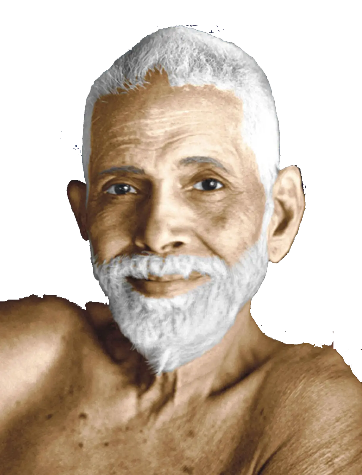 Portrait of an Elderly Man with a Beard