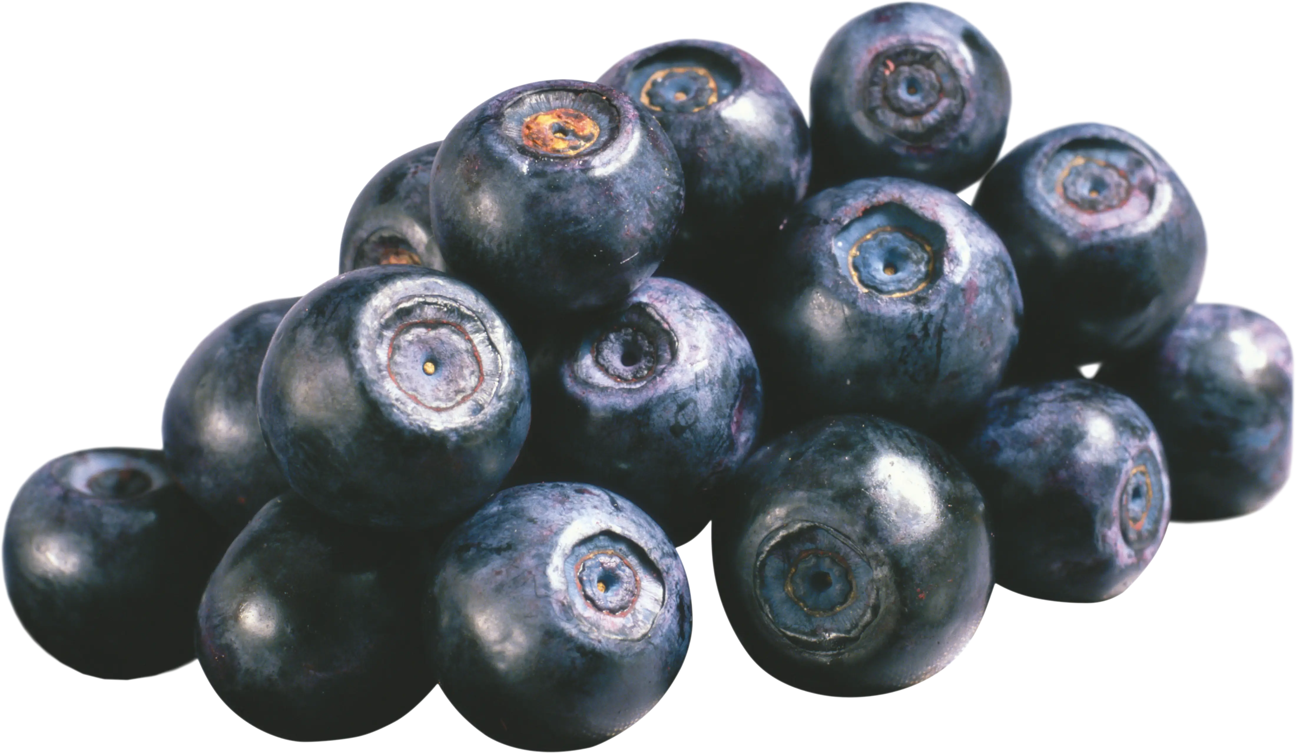 Bunch of Ripe Blueberries