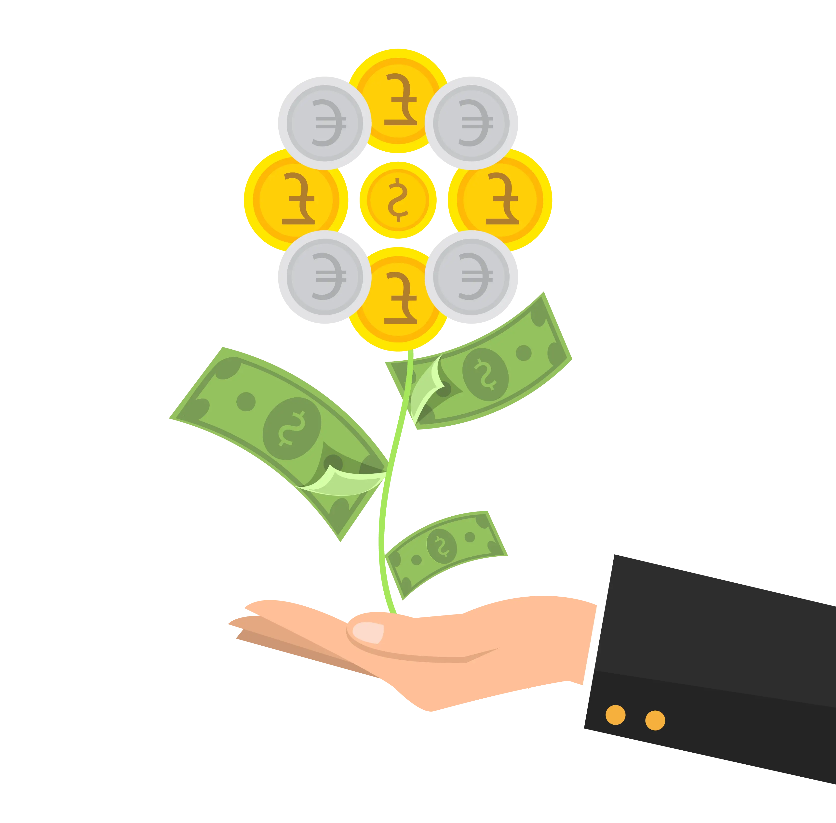 Money Plant Illustration Representing Financial Growth