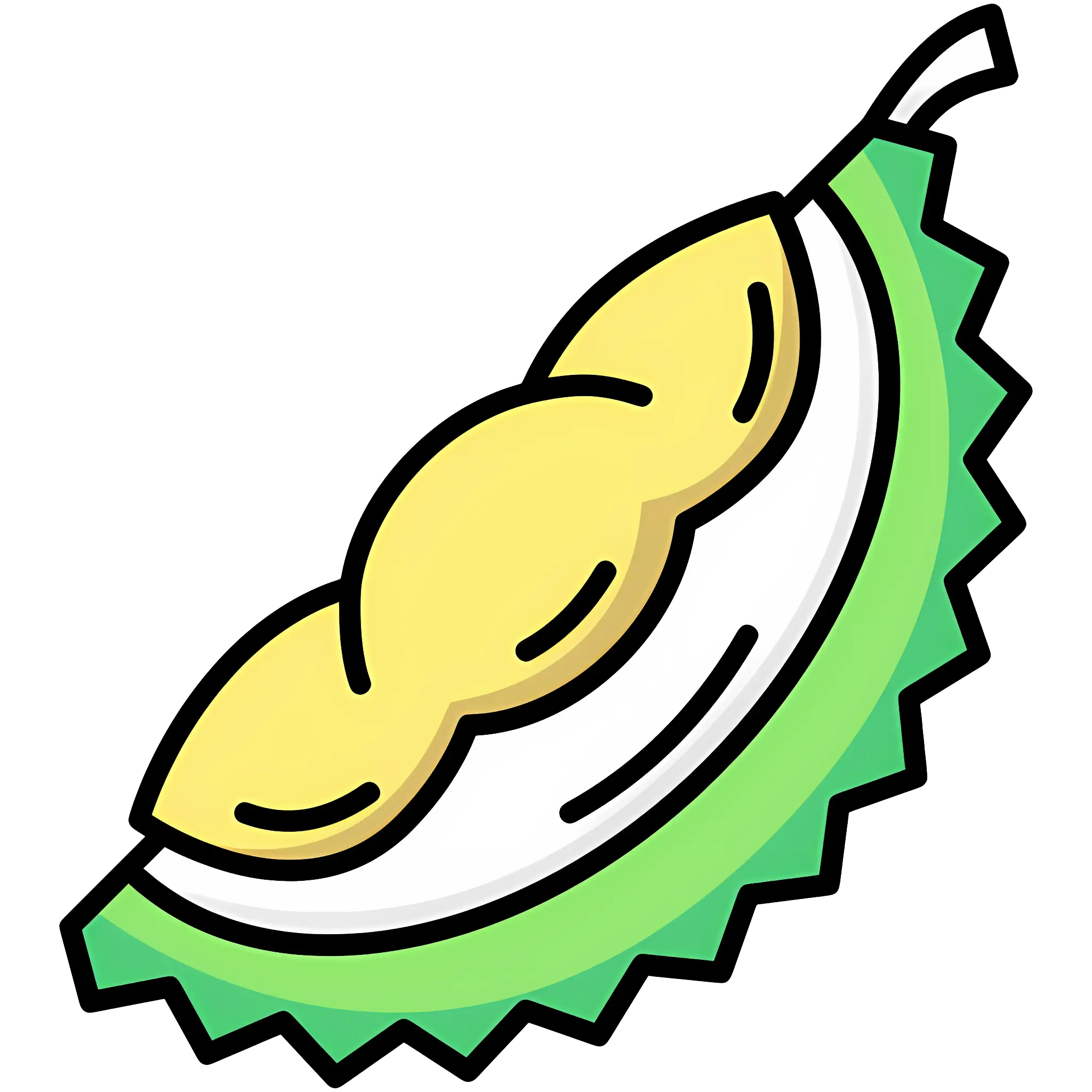 Durian Fruit Illustration