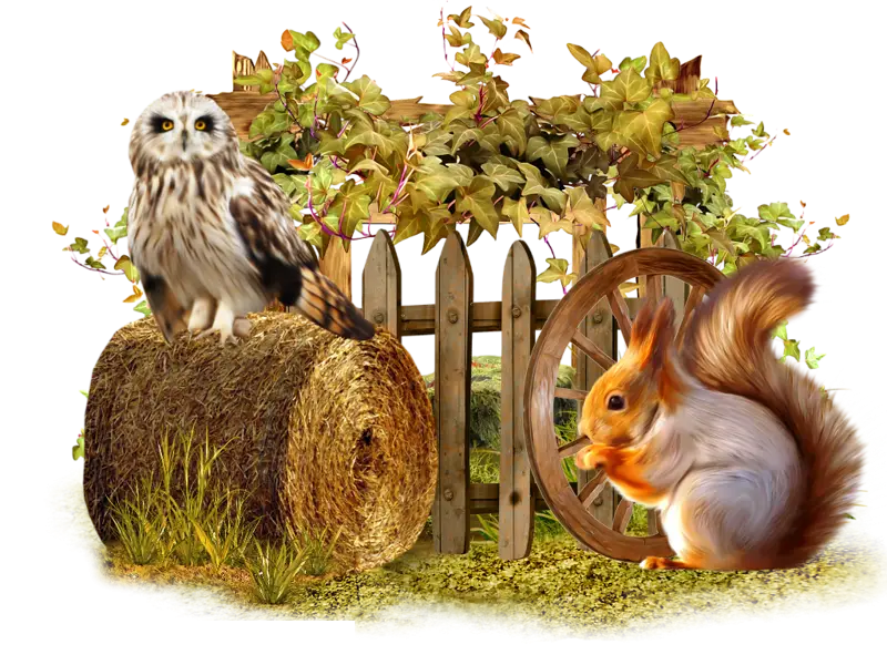 Owl and Squirrel by Fence Illustration