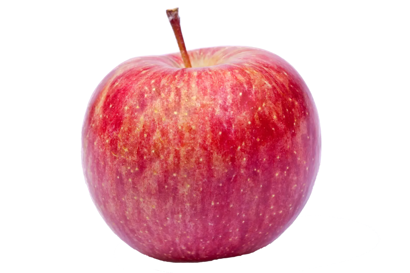 Juicy Red Apple Illustration
