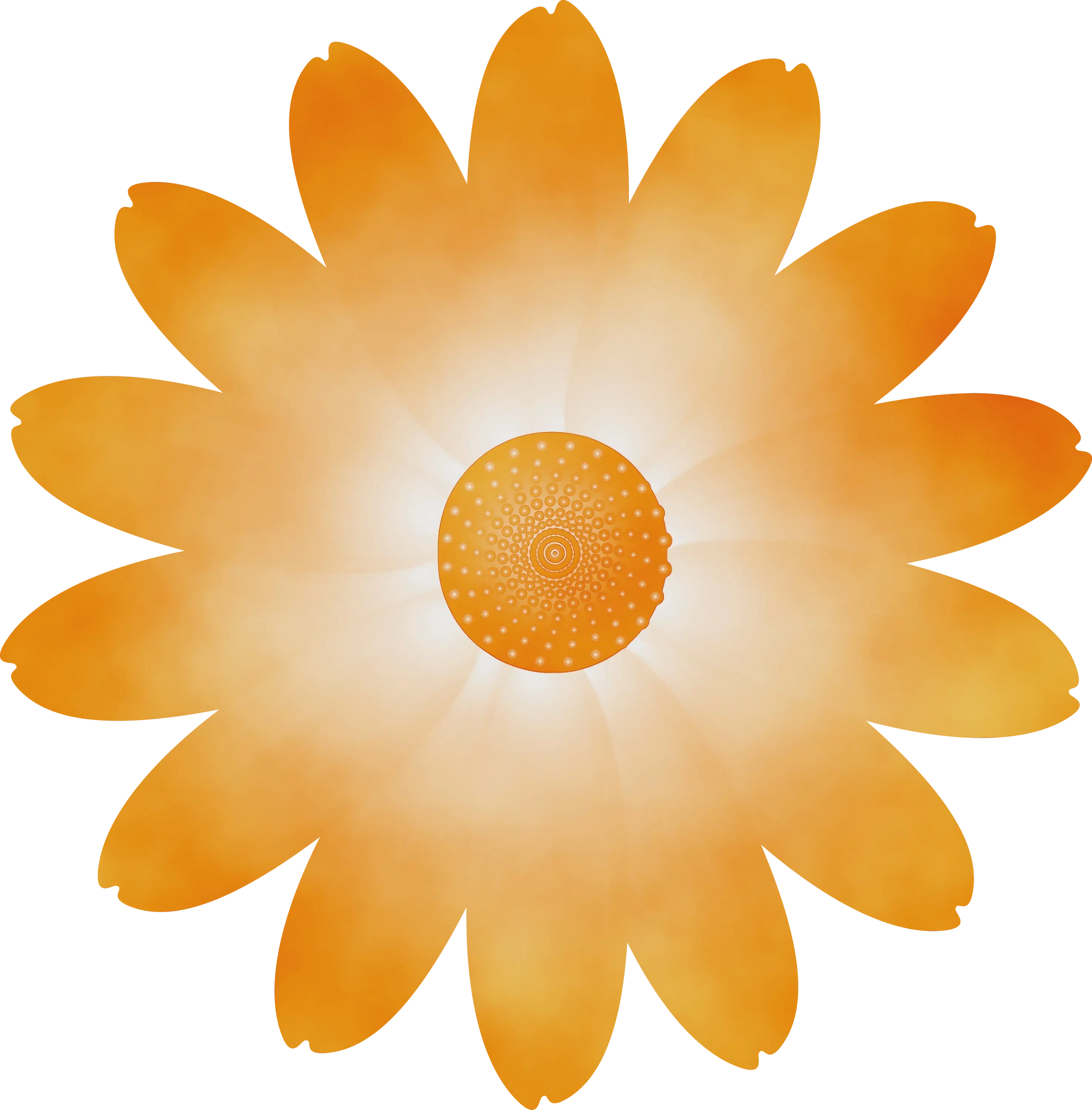 Big Orange Daisy Flower Illustration