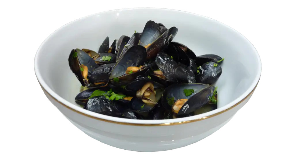 Bowl of Cooked Mussels