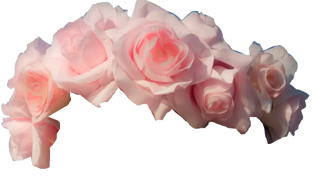 Pink Rose Floral Crown Headpiece