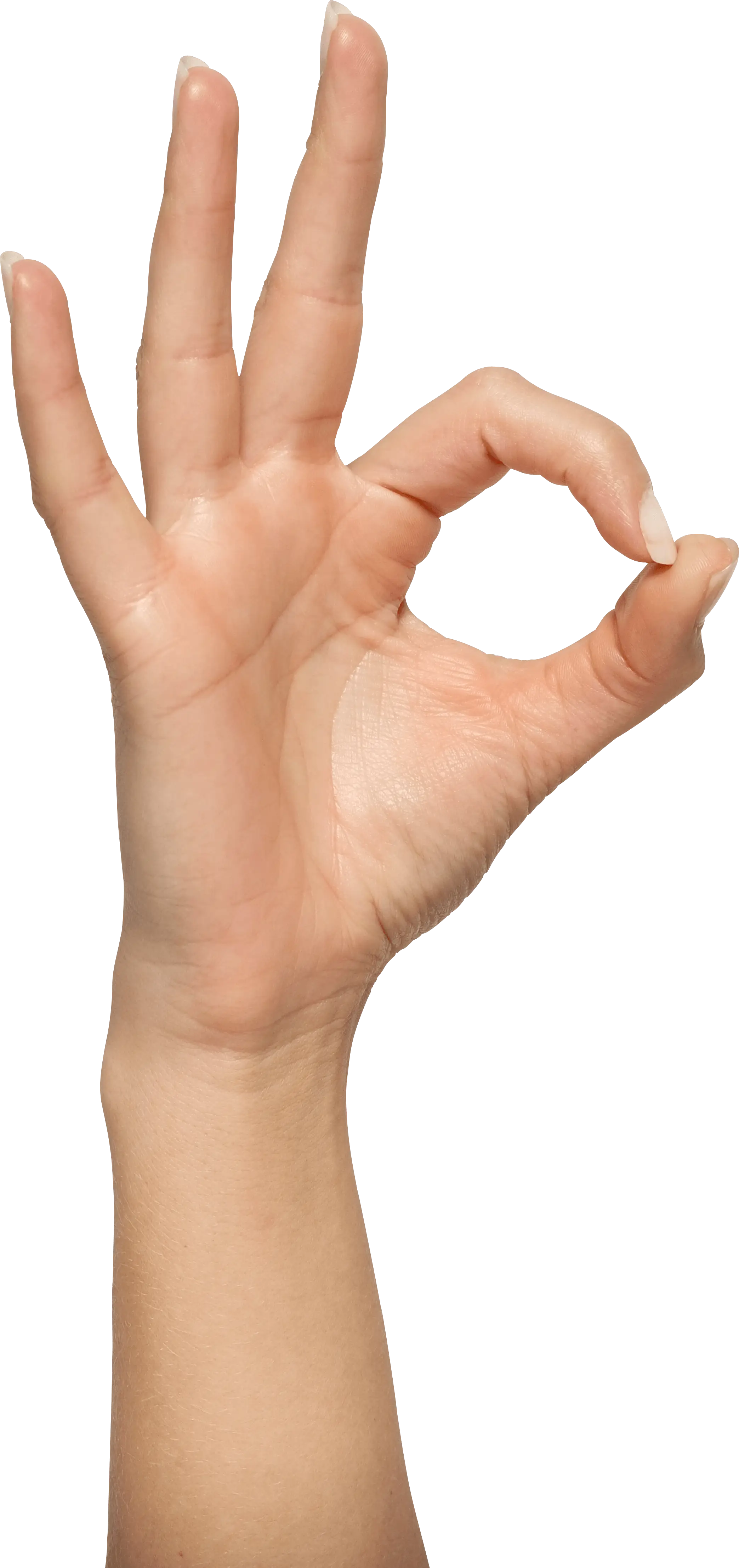 Hand Making the OK Gesture