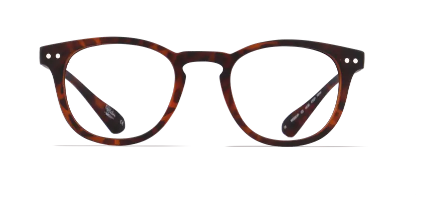 Tortoiseshell Brown Glasses Accessory