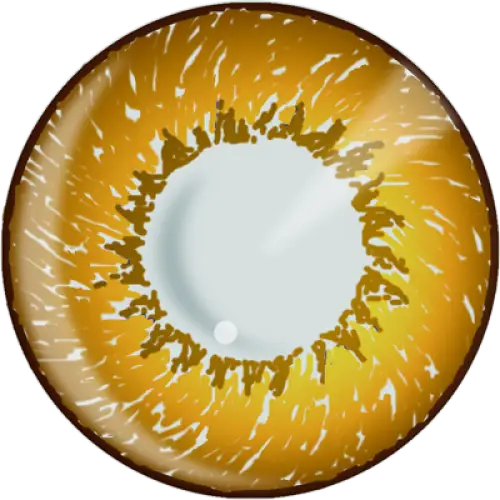 Graphic Golden Eye Illustration