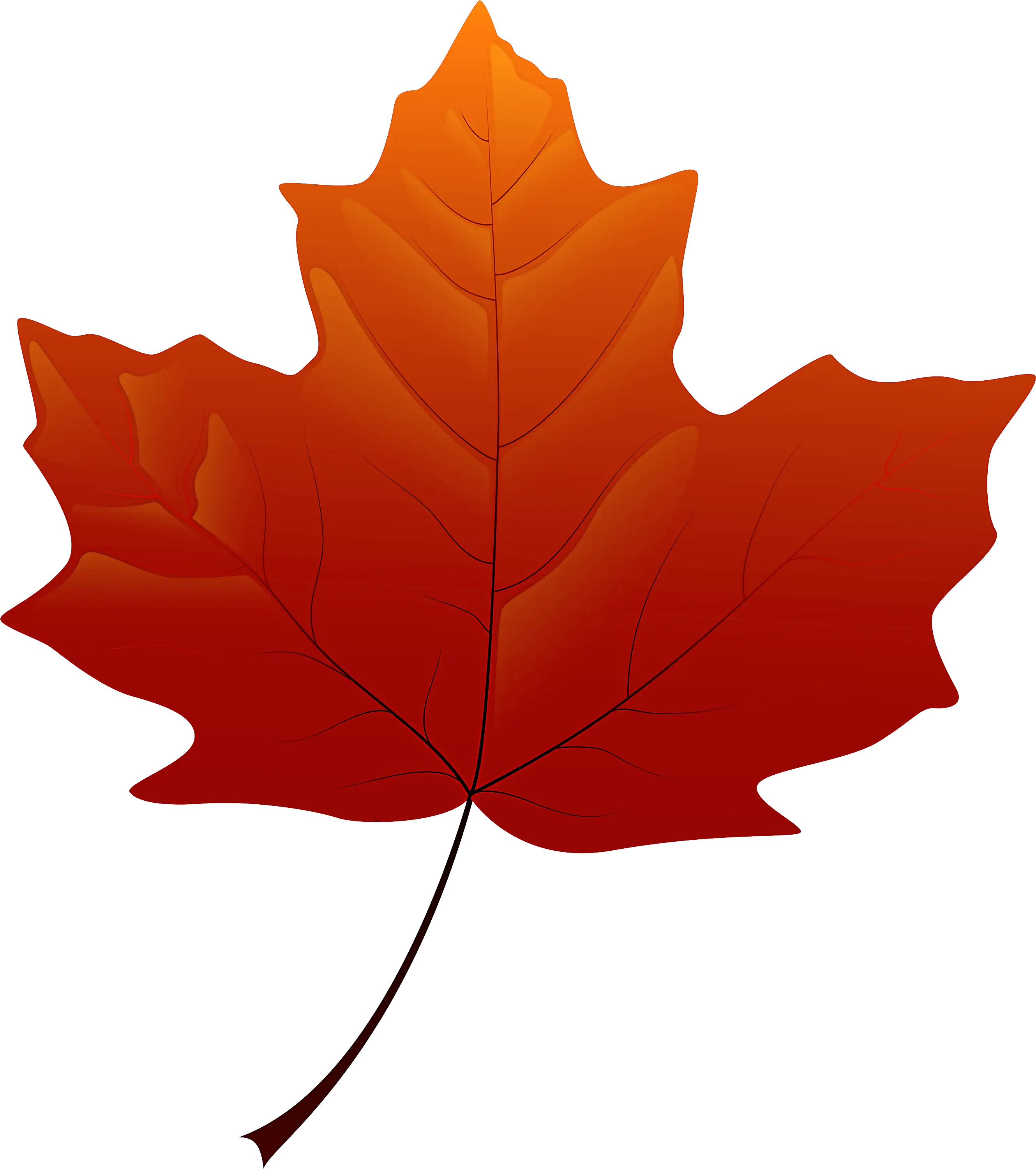 Orange Maple Leaf for Fall Season