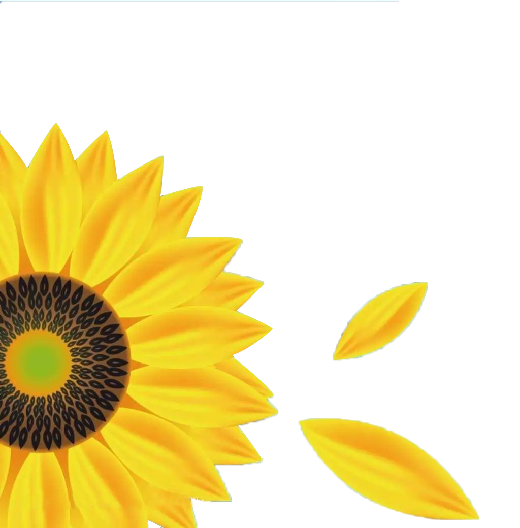 Bright Sunflower with Falling Petals