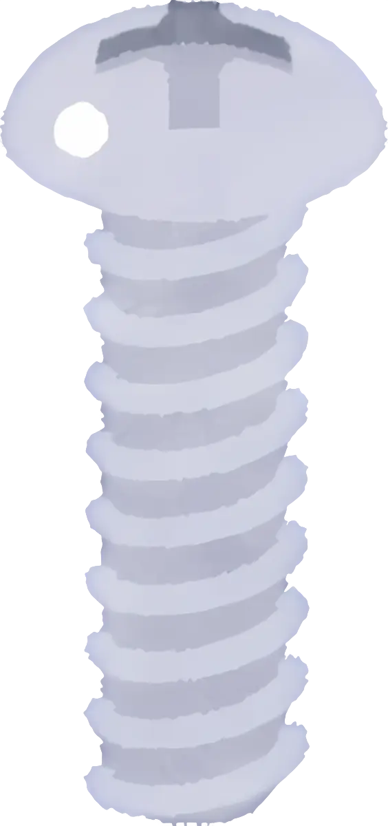 Silver Screw Hardware