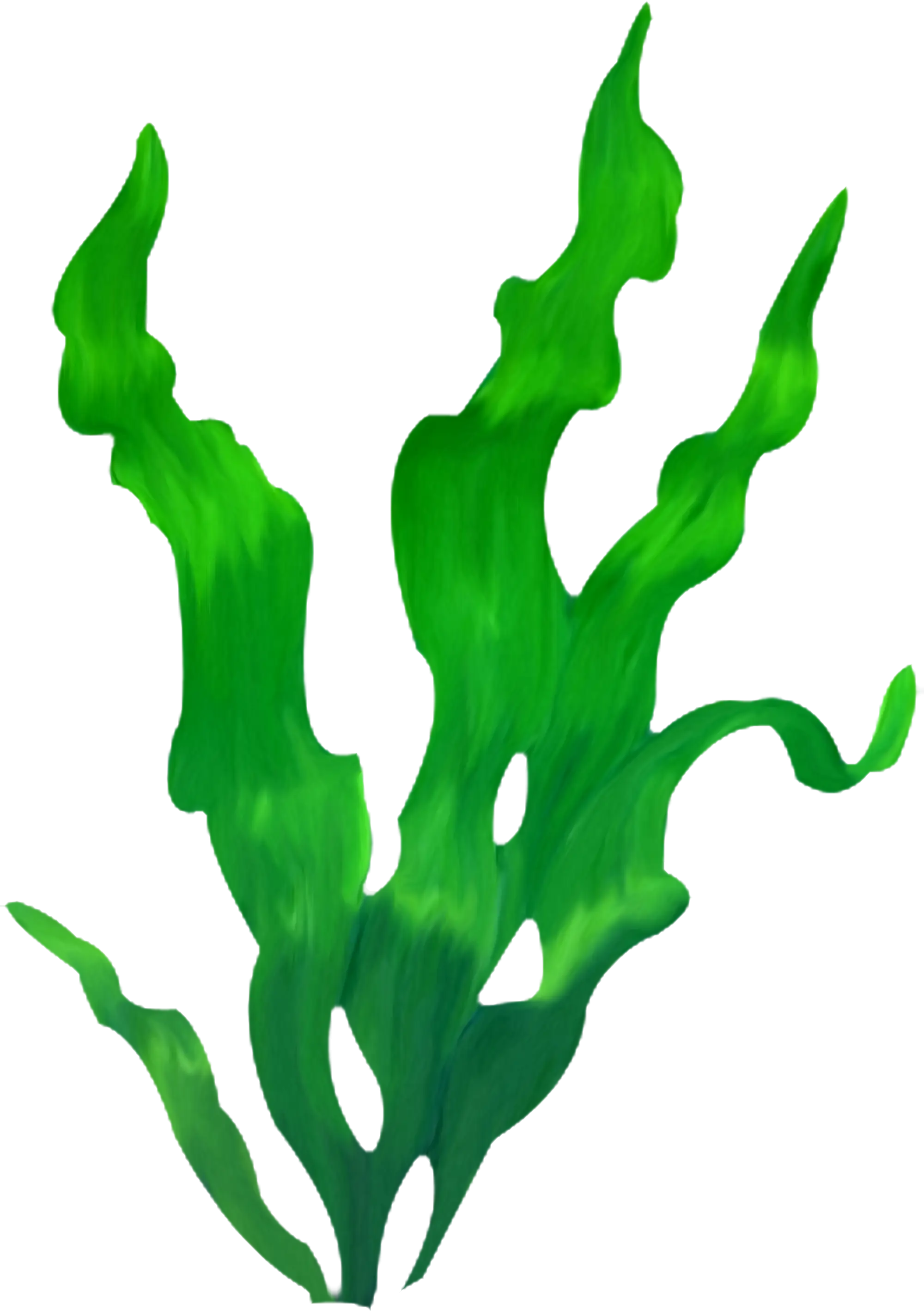 Bright Green Seaweed Illustration