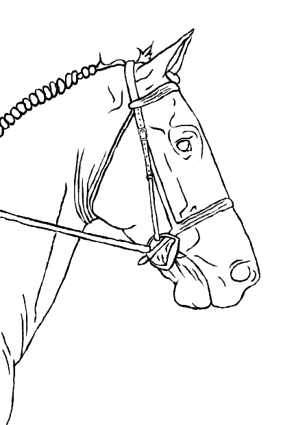 Line Drawing of Horse in Artistic Style