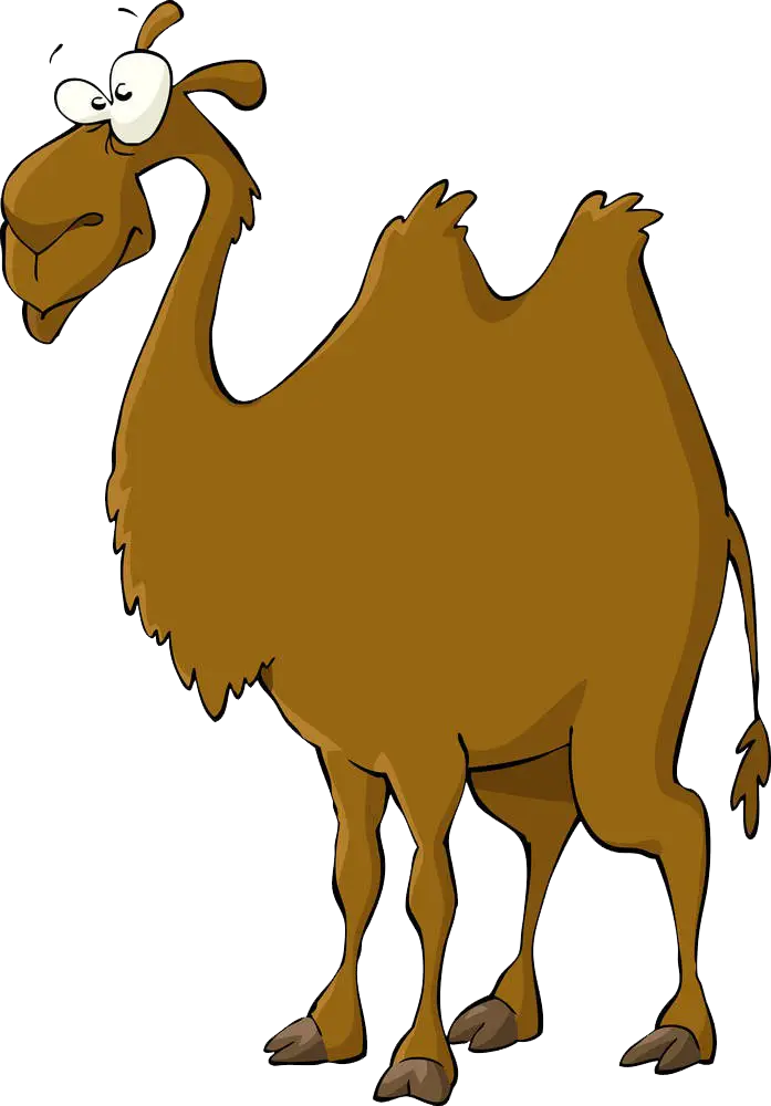 Funny Cartoon Camel Illustration