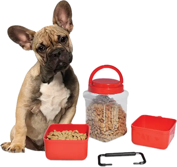 Dog with Food Containers