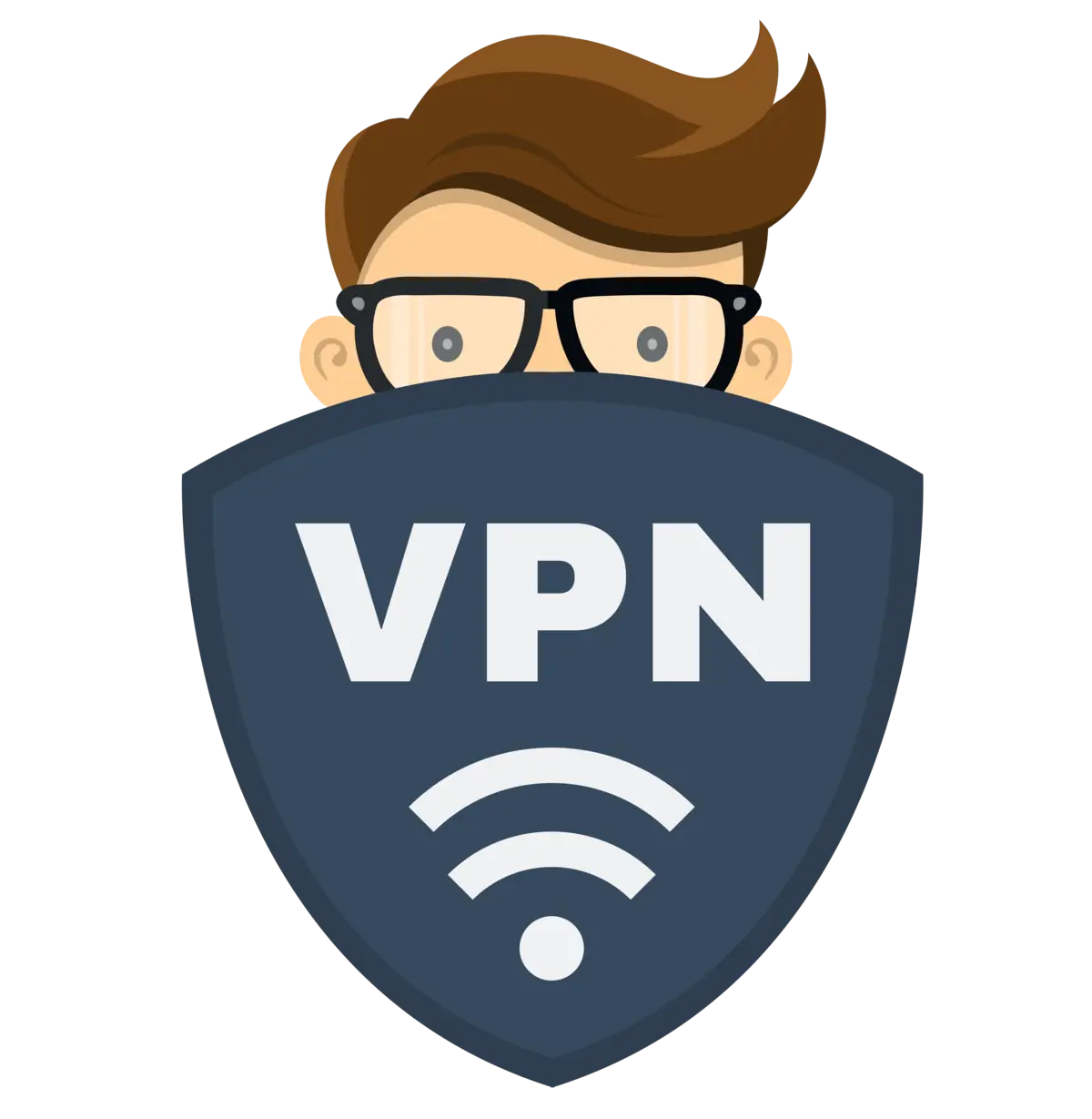 VPN Shield for Internet Security