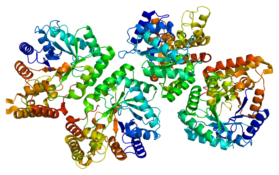 Colorful Protein Structure Visualization