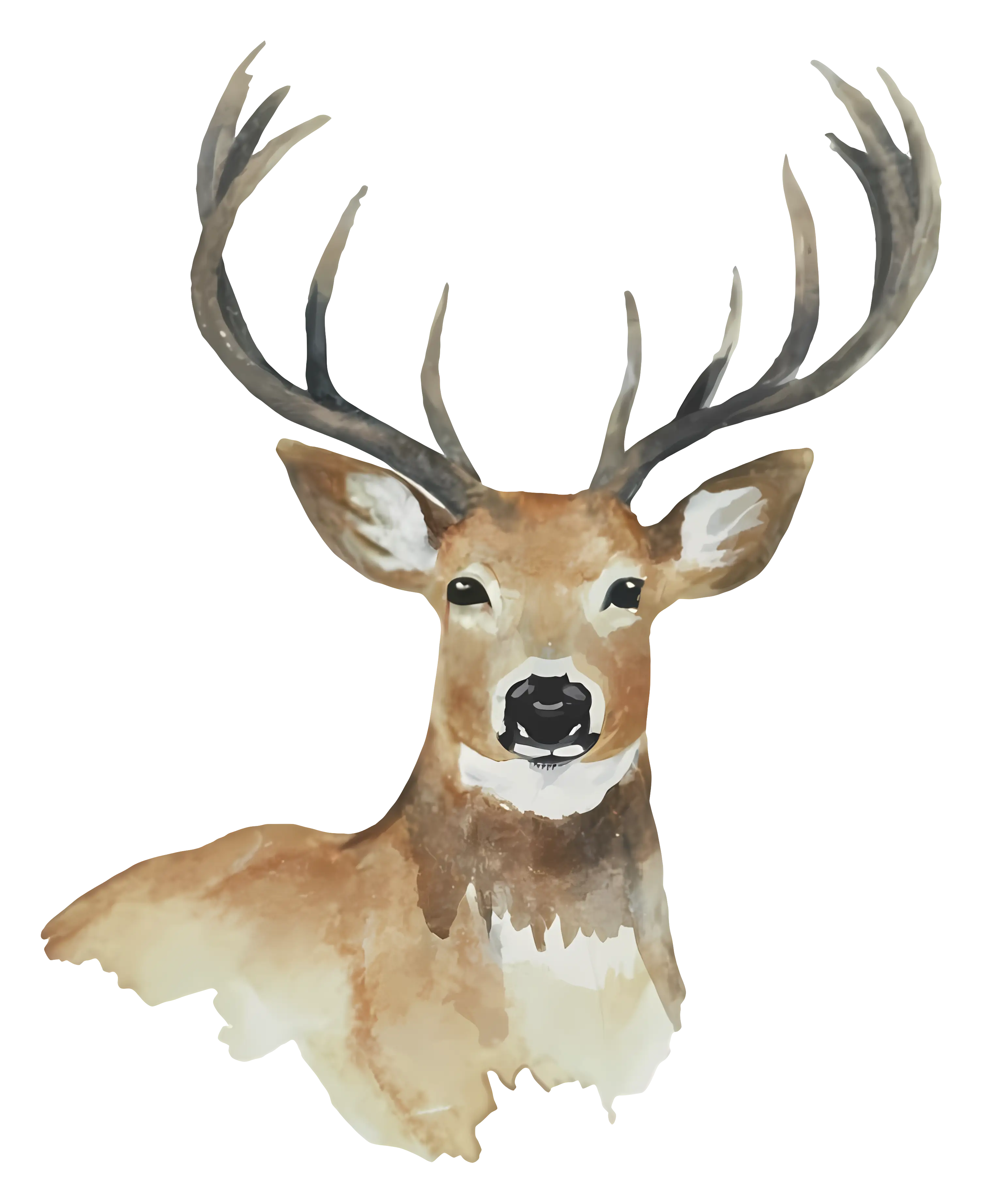 Watercolor Deer Artwork