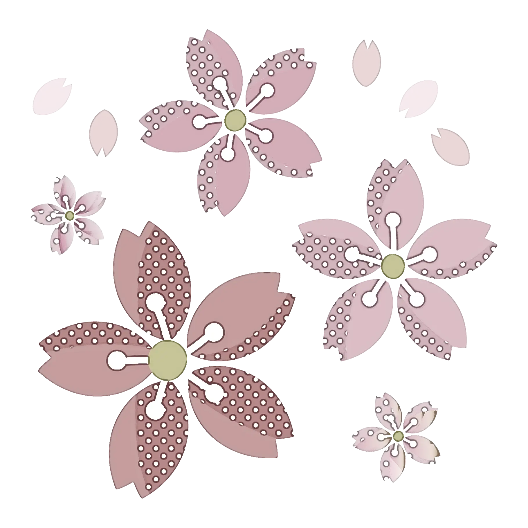 Beautiful Pink Flowers with Petals