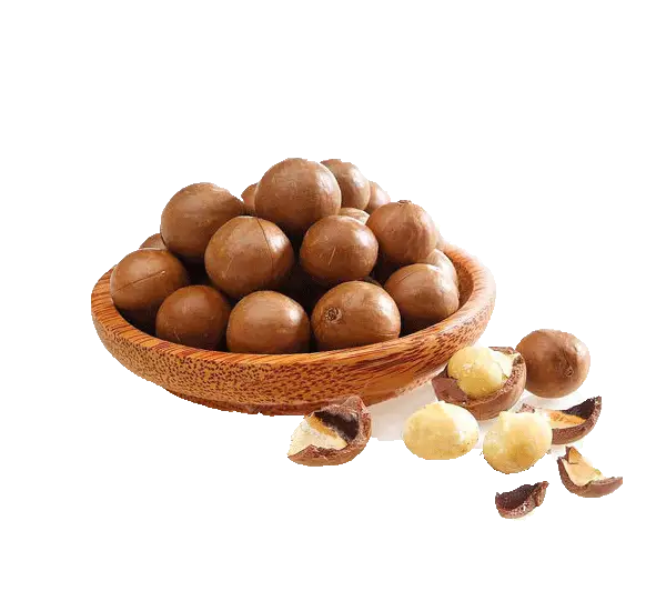 Bowl of Fresh Macadamia Nuts