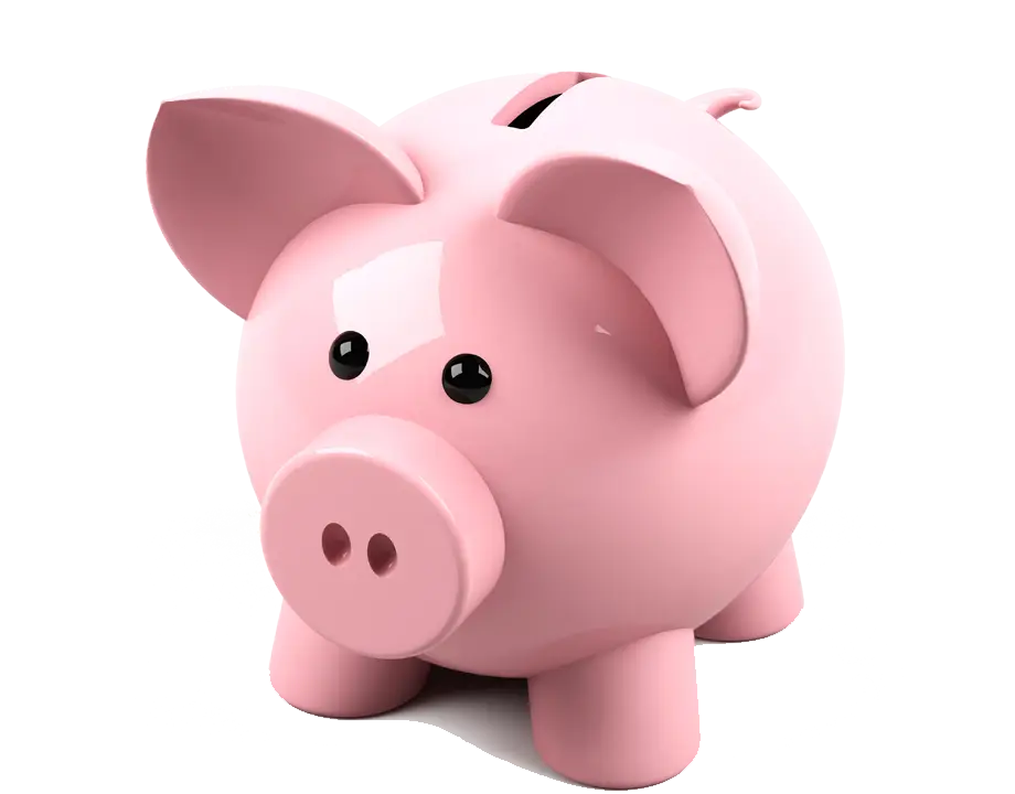 Pink Piggy Bank for Savings