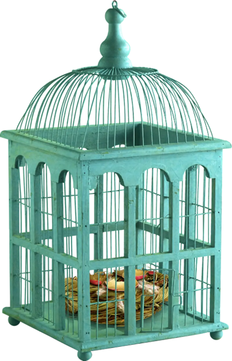 Decorative Bird Cage with Nest