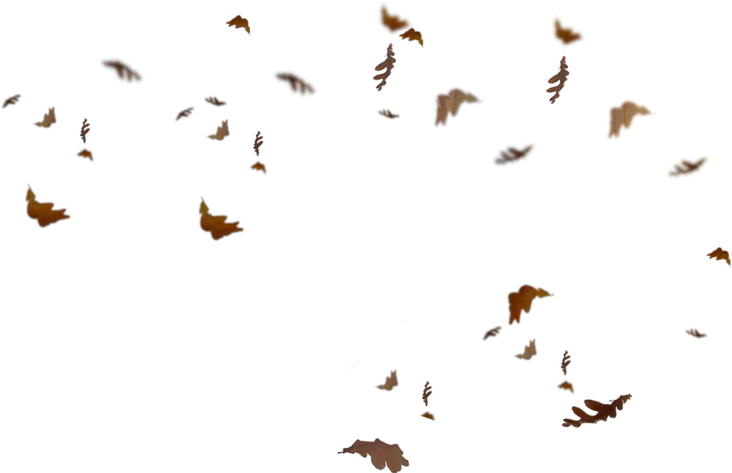 Scattered Autumn Leaves in the Air