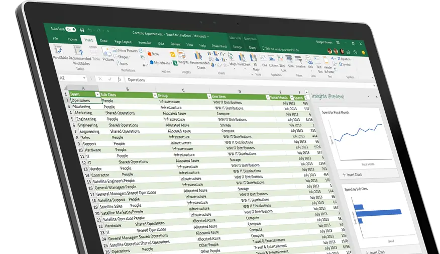 Spreadsheet Interface Displayed on Screen