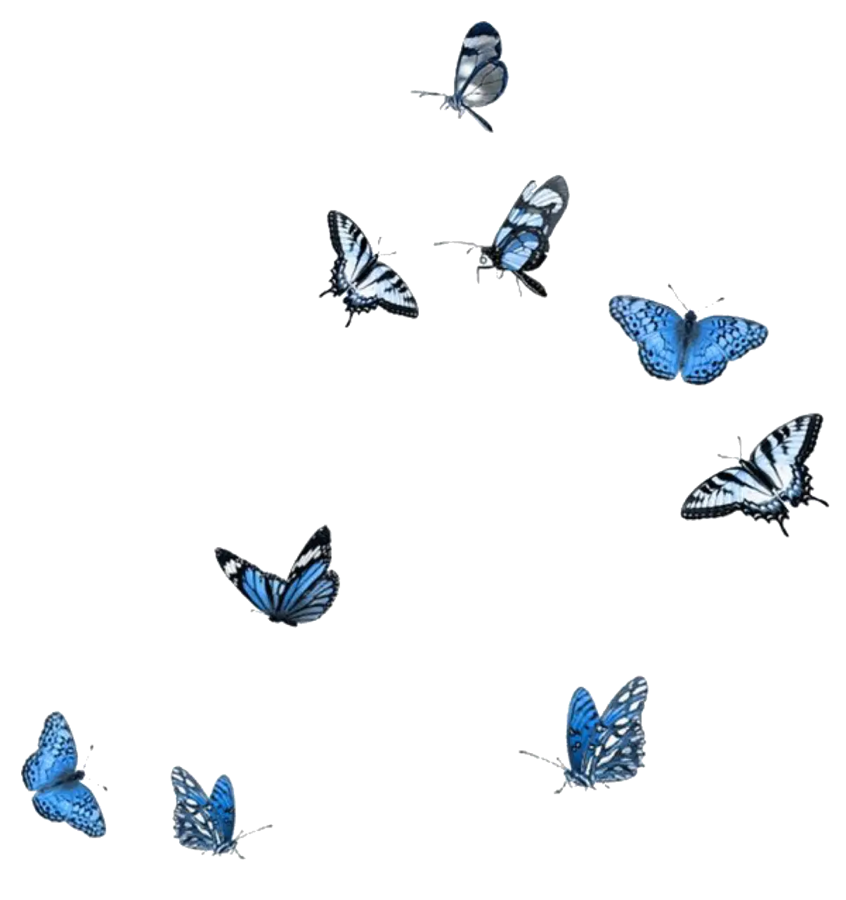 Illustration of Elegant Blue Butterflies