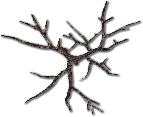 Rustic Tree Branch Drawing