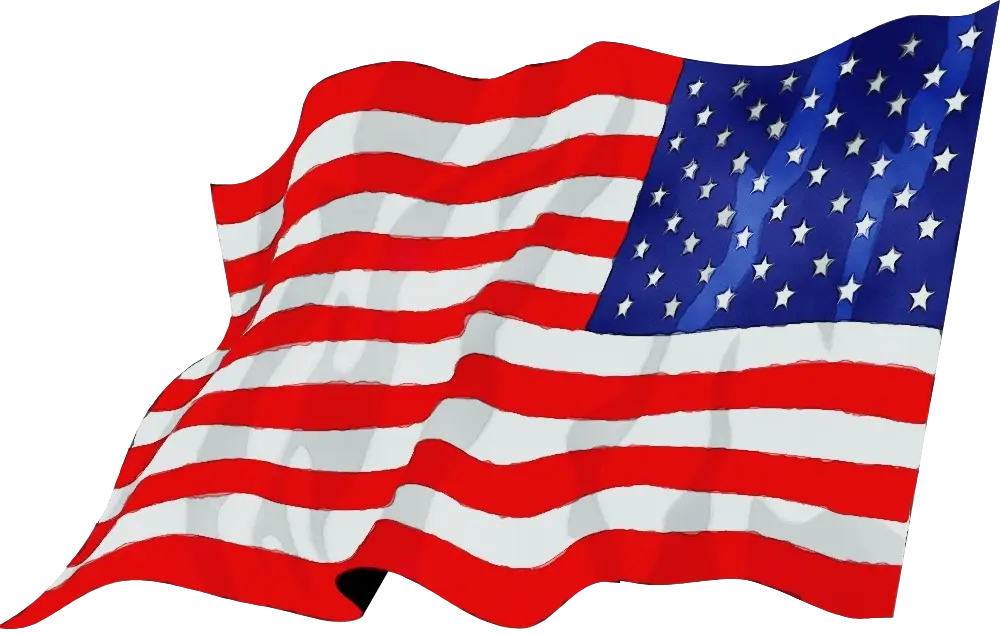 Waving American Flag Illustration