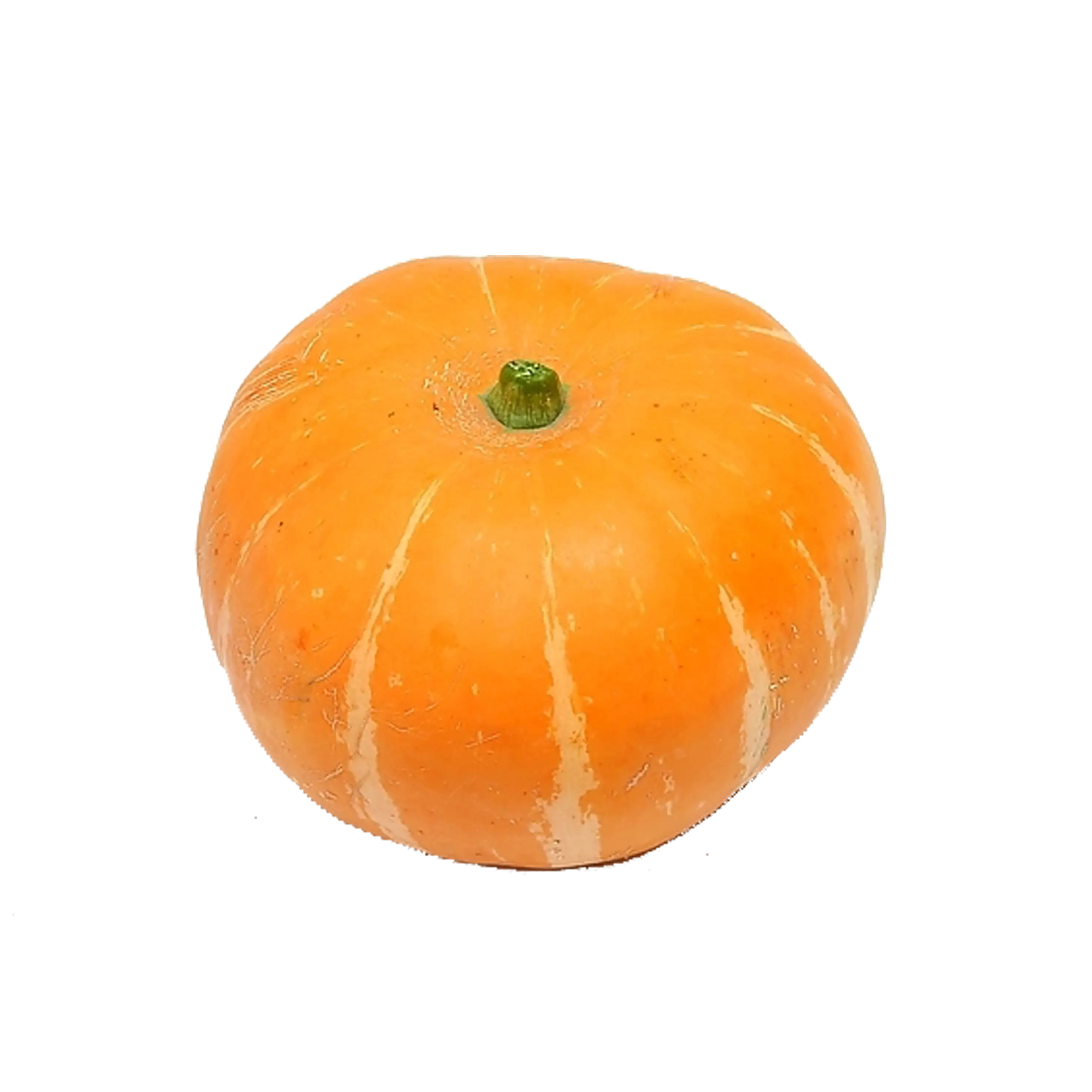 Bright Orange Pumpkin for Autumn