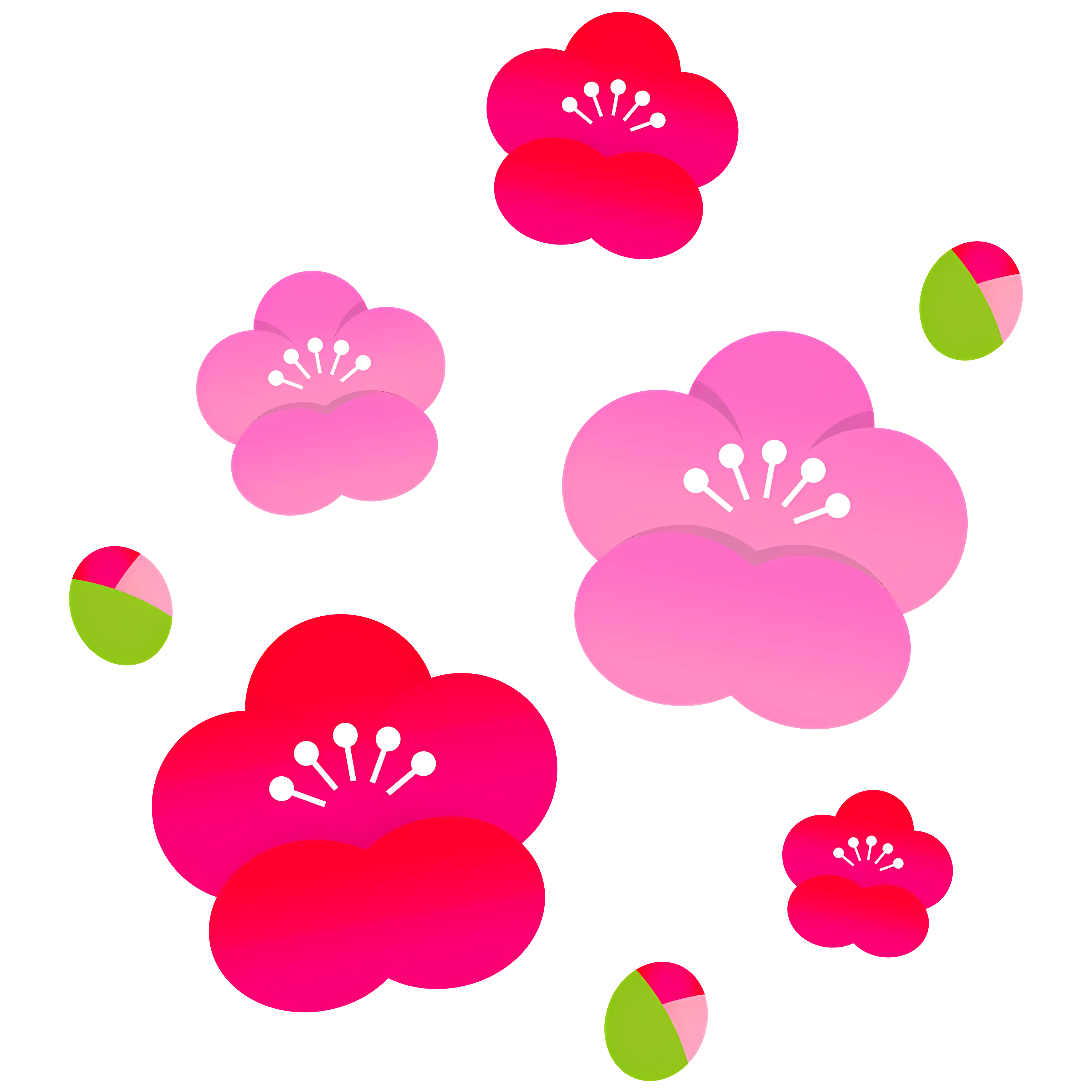 Pink and Red Flowers in Bloom