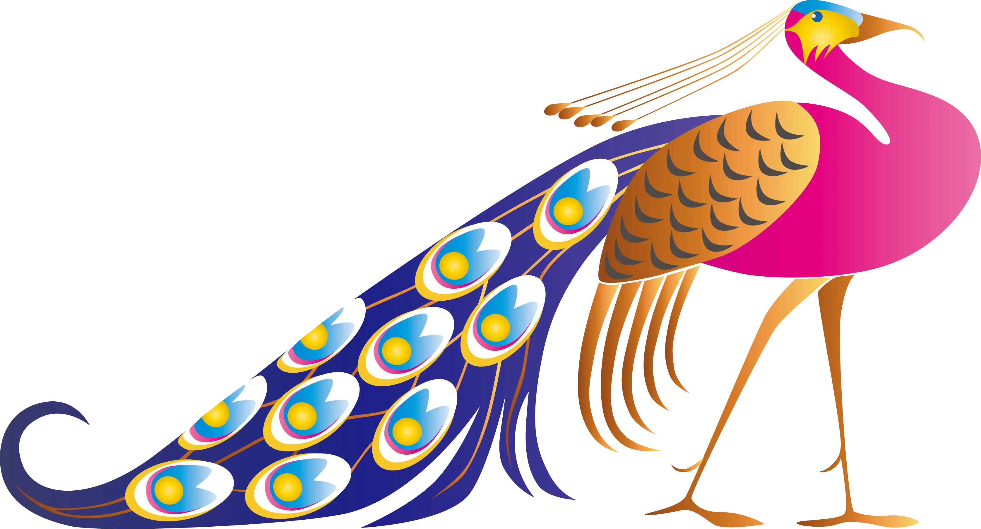 Elegant Colorful Peacock Illustration