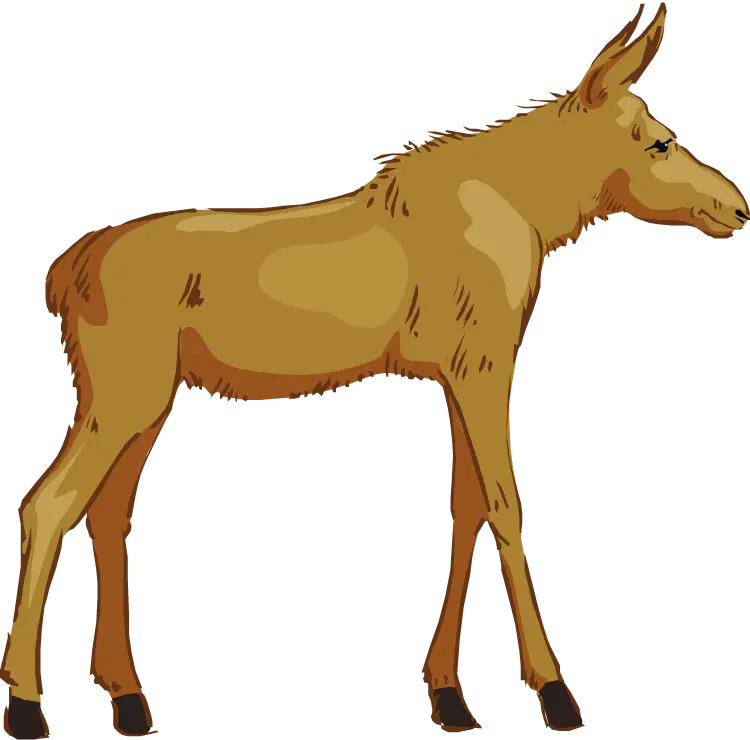 Standing Brown Donkey Illustration