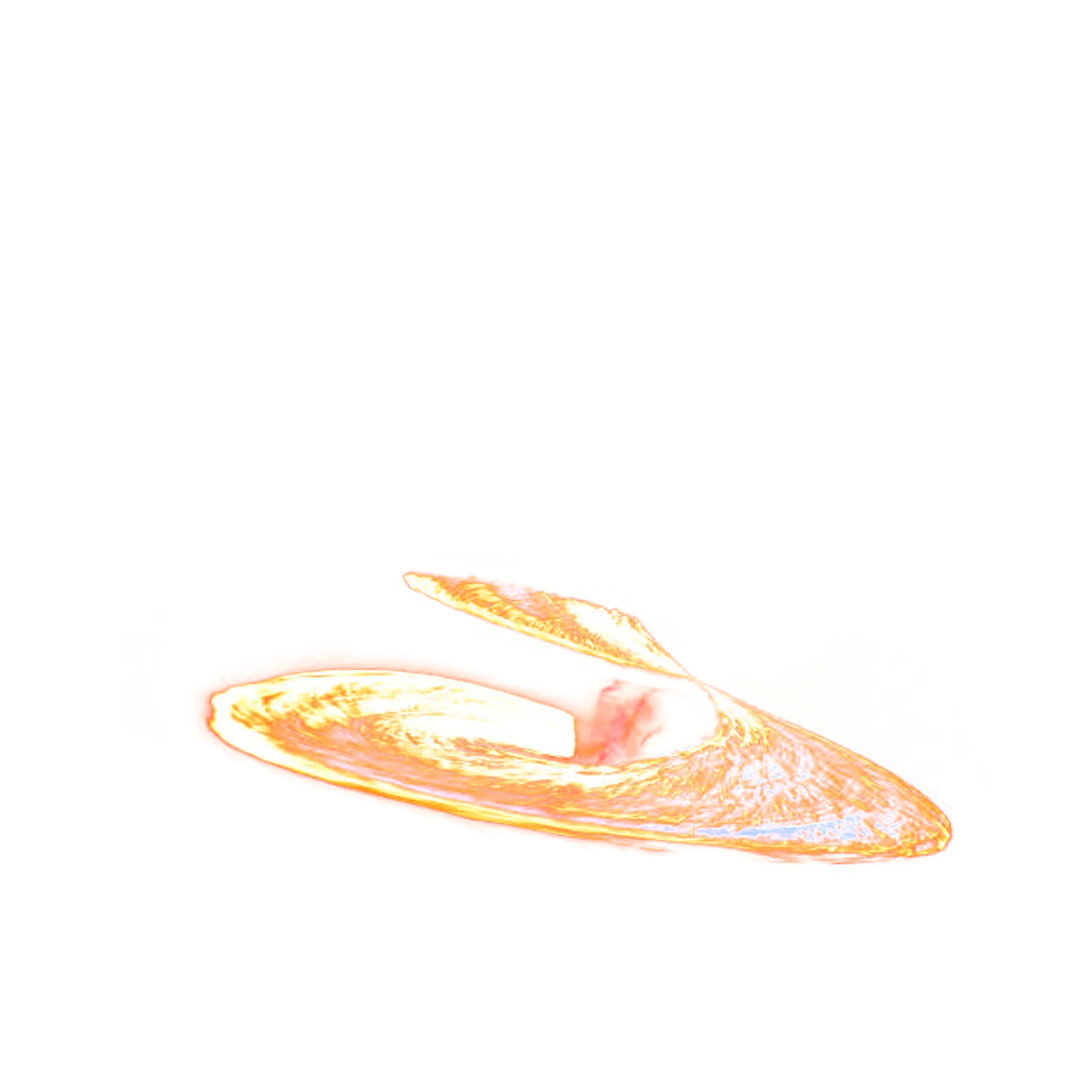Orange Slice