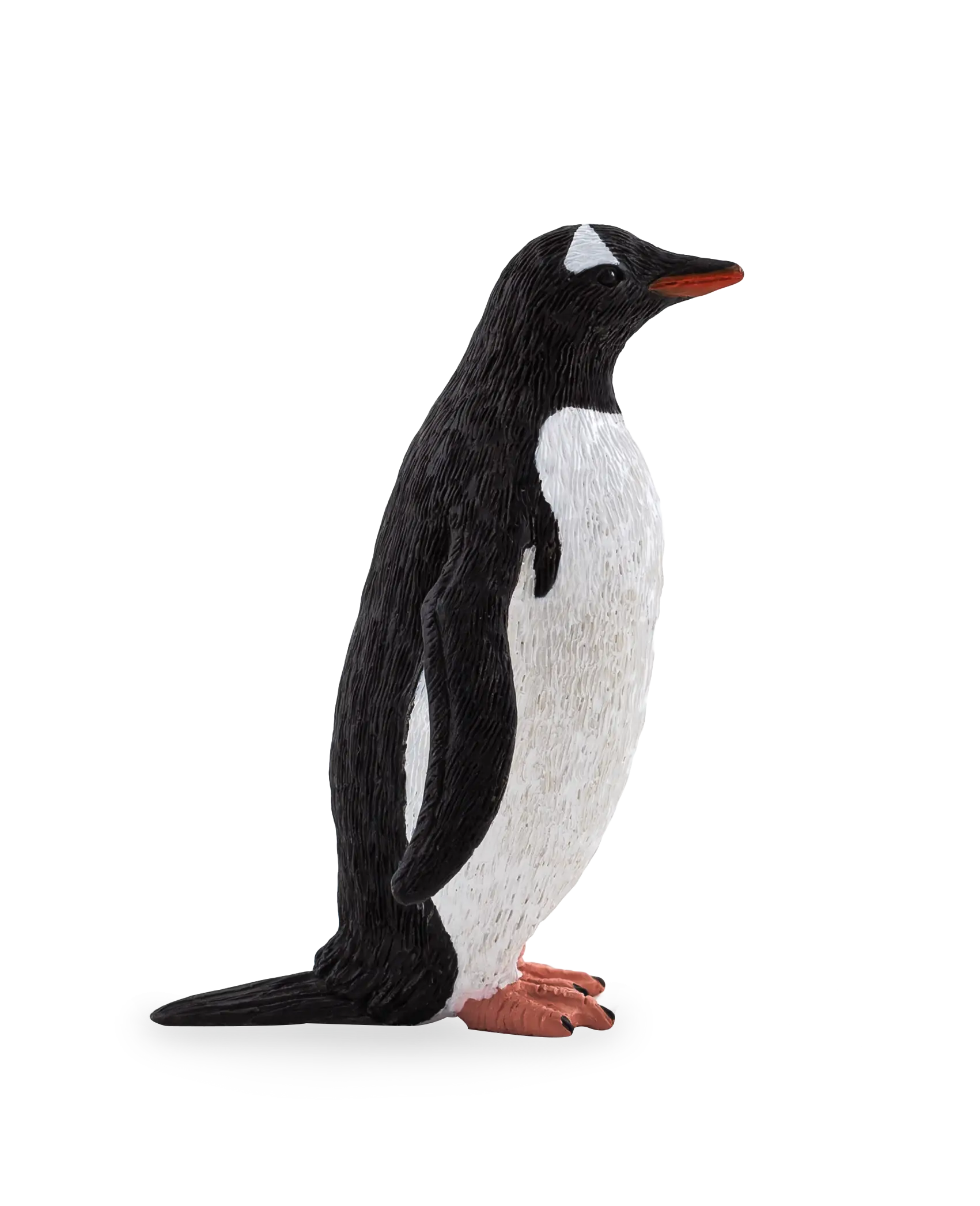 Standing Penguin Illustration